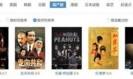 国产视频精品分类,光影盛宴，尽享视听盛宴