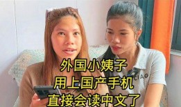 国产小姨子,揭秘现代家庭情感纠葛