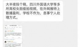 国产厕所偷拍视频,隐私边界何在？