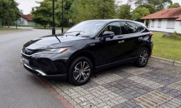 国产12p,引领科技潮流的创新之作