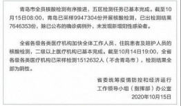 国产手机看片1024,国产手机观影新体验，畅享高清大片